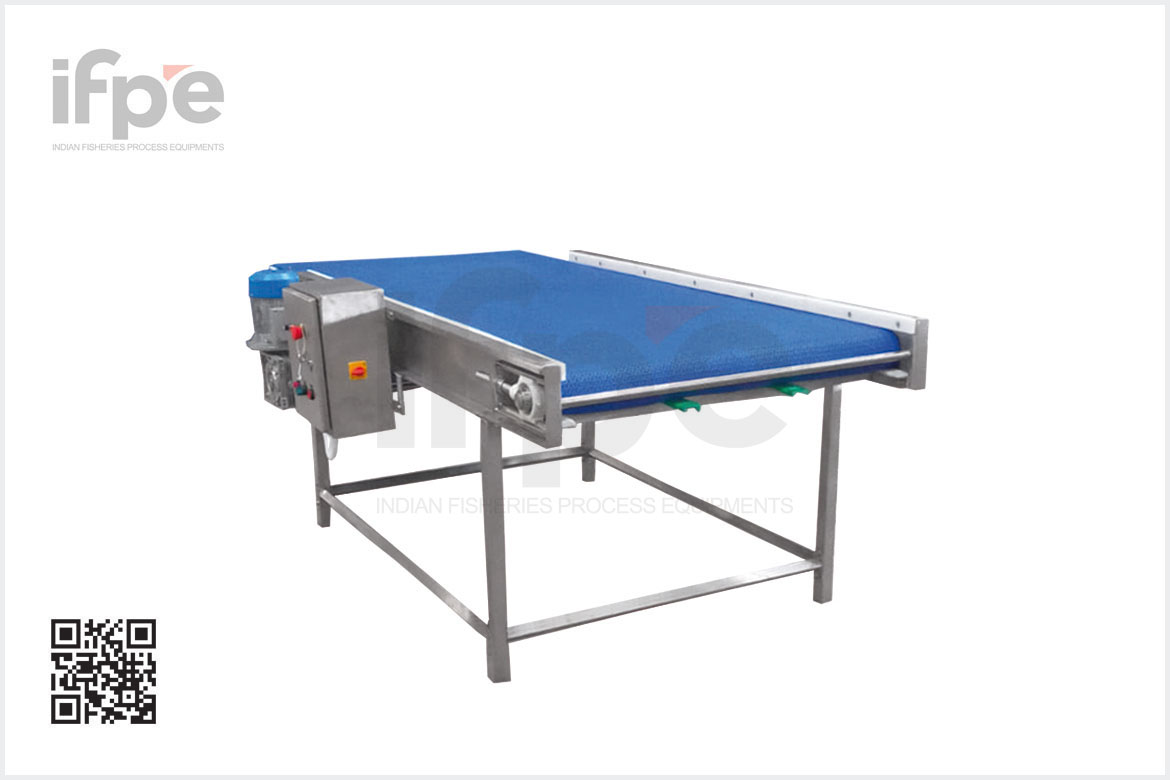 IQF Infeed Conveyor